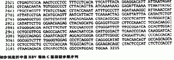 乙型肝炎病毒中国株全基因参照序列的初步建立