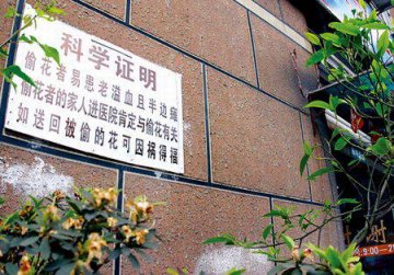 超市贴标语制止偷花 称偷花者易患脑溢血