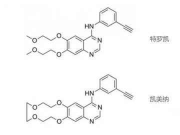 肺癌检测基因突变，该如何用药？