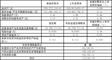 河南羚锐制药股份有限公司2005第一季度报告（节录）