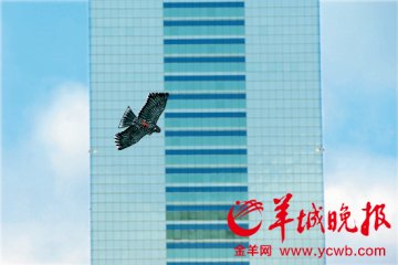 三大经济圈珠三角空气最好 四市入围全国前十