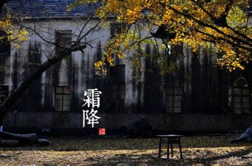 图说二十四节气 美到令人窒息