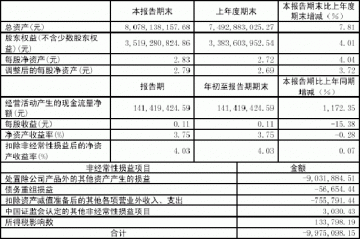 哈药集团股份有限公司2005第一季度报告（节录）
