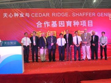 天心种业与美国种猪企业联合开展基因育种项目
