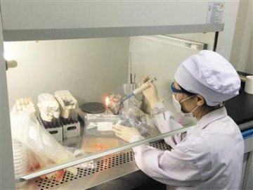 切块水果放一天还卖 盒装水果省事不卫生