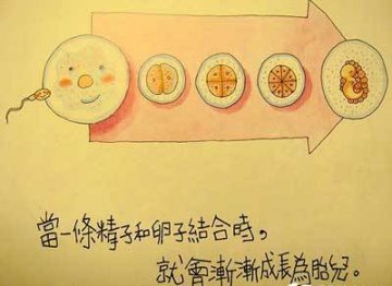 香港最受欢迎的儿童性教育图片