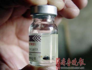 青霉素里竟有苍蝇 生产销售商被罚15000