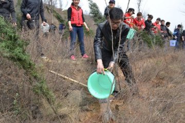 郑州中医骨伤病医院赴荥阳参加义务植树活动