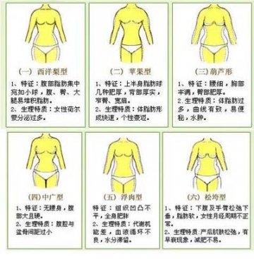 中医解决：六种肥胖体态、四种肥胖体质