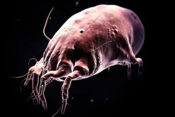 医学3D透视下的人体奇观