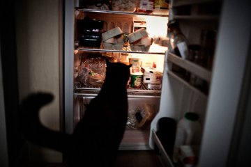 记录暴食症者患者真实的一天