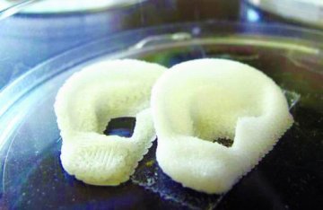 3D打印器官有望植入人体
