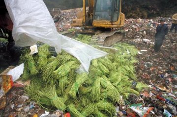 农药在中国：禁用农药挥之不去 甲胺磷复活