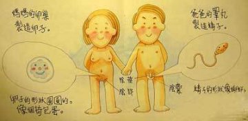 香港最受欢迎的儿童性教育图片