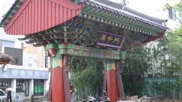 探访韩国汉医：东医韩药汉江清