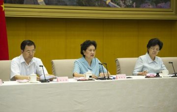刘延东出席全国医改工作电视电话会