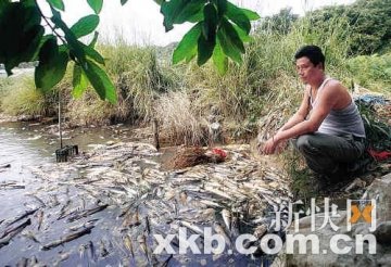 鱼塘4万斤鱼类4天内相继死亡 疑因企业偷排污水