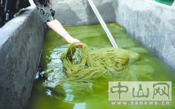 “正规厂”染制有毒红薯粉被查