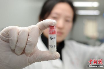 冷冻保存的精液