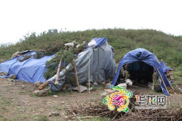 重庆查获17.5吨“毒竹笋” 工业硫磺熏制可致癌