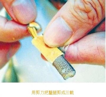 如何优雅食用大闸蟹：步骤八