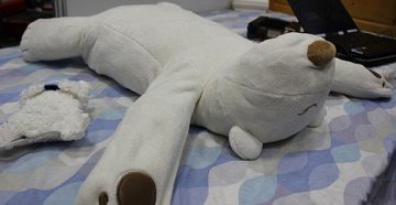 日本最新研制“机器熊” 能有效治疗打鼾现象