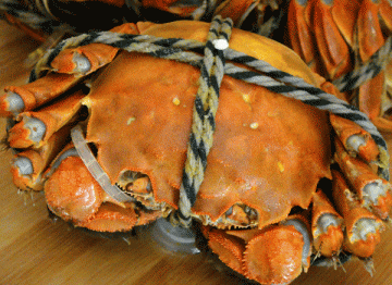 “阳澄湖牌”大闸蟹肉甜而细