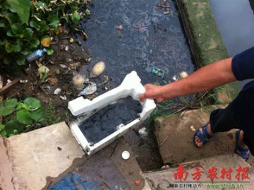 广东高要200猪场污水直排西江支流致河段发恶臭