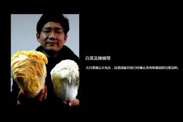 如何辨别转基因食品