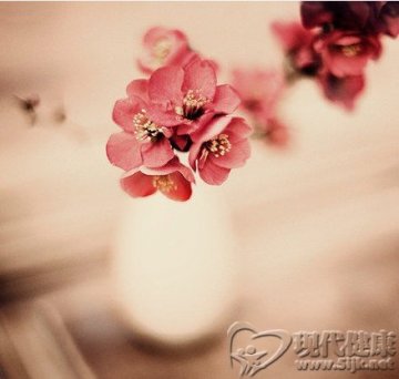 春天要紧防呼吸道感染