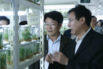 部分药典委员考察浙江天台铁皮石斛GAP基地