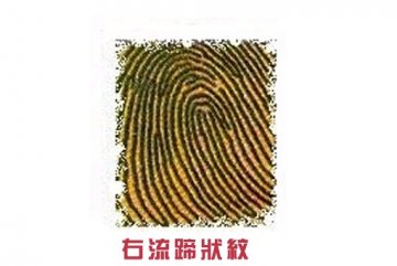 指纹竟决定你的爱情