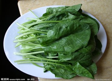 菠菜PK卷心菜 五种蔬果补钙胜牛奶