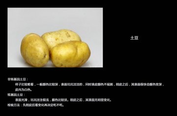 如何分辨转基因食品