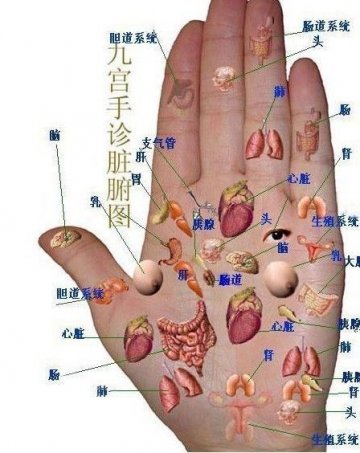有图有真相 从手掌看透全身健康