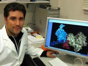 Science：研究者揭示抑制癌症的新靶点PARP-1