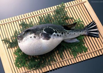 一生必尝20种另类食物