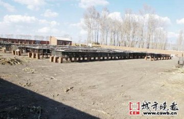 狐狸养殖场气味影响邻近小学环境