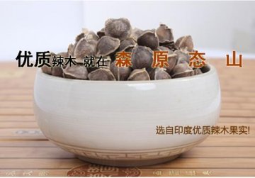 生命之果：辣木籽——奇迹之树的“钻石”之籽