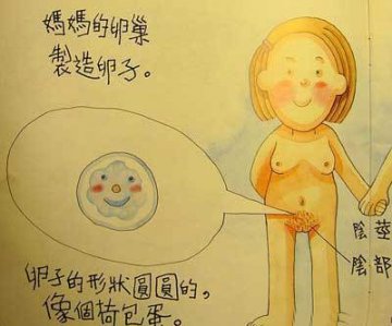 香港最受欢迎的儿童性教育图片