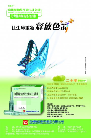 斑蝥酸钠维生素B6注射液-官方高清创意广告(黔药广审(文)第2013030022号)