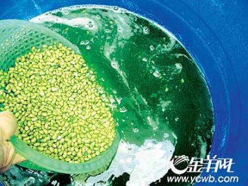菜贩自爆黑幕：致癌色素浸泡黄豆变“青豆“