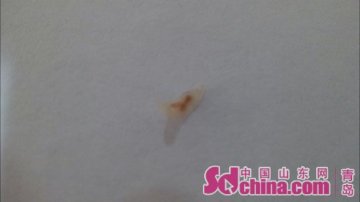 青岛丹香饼干里嵌着指甲 厂家称卫生一直很过关