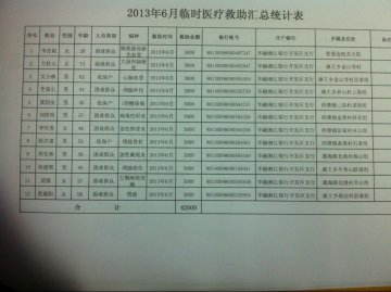 2013年6月临时医疗救助汇总统计表