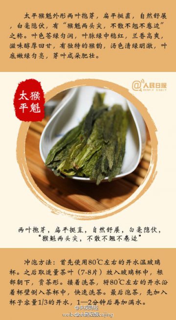 九张图教你喝春茶