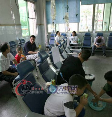 男童被马蜂蜇100多针丧命 被蜂群团团围住