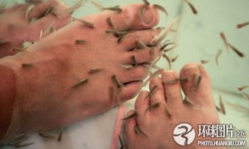 全球最不可思议的“治病”怪招 泰国用蛆治病