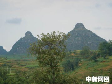 能让人脸红形象逼真的双乳峰附图