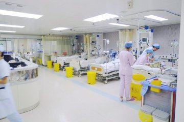 刀尖上的舞者：90分钟的脑内“拆弹”之旅