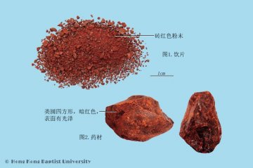 血竭（Xuejie）中药材鉴别照片